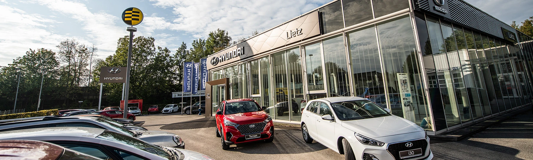 Bild Lietz-Urfahr GmbH